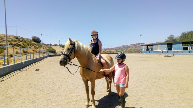 Mijas Costa horse riding school 2023, click here