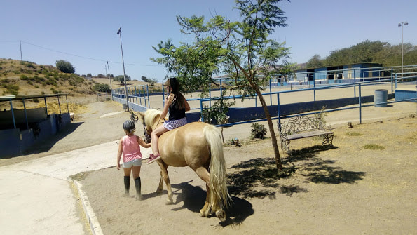 Horseback trecking at La Alegria, La Cala de Mijas, Costa del Sol 2023